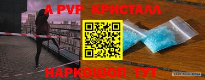 крисы Лесосибирск
