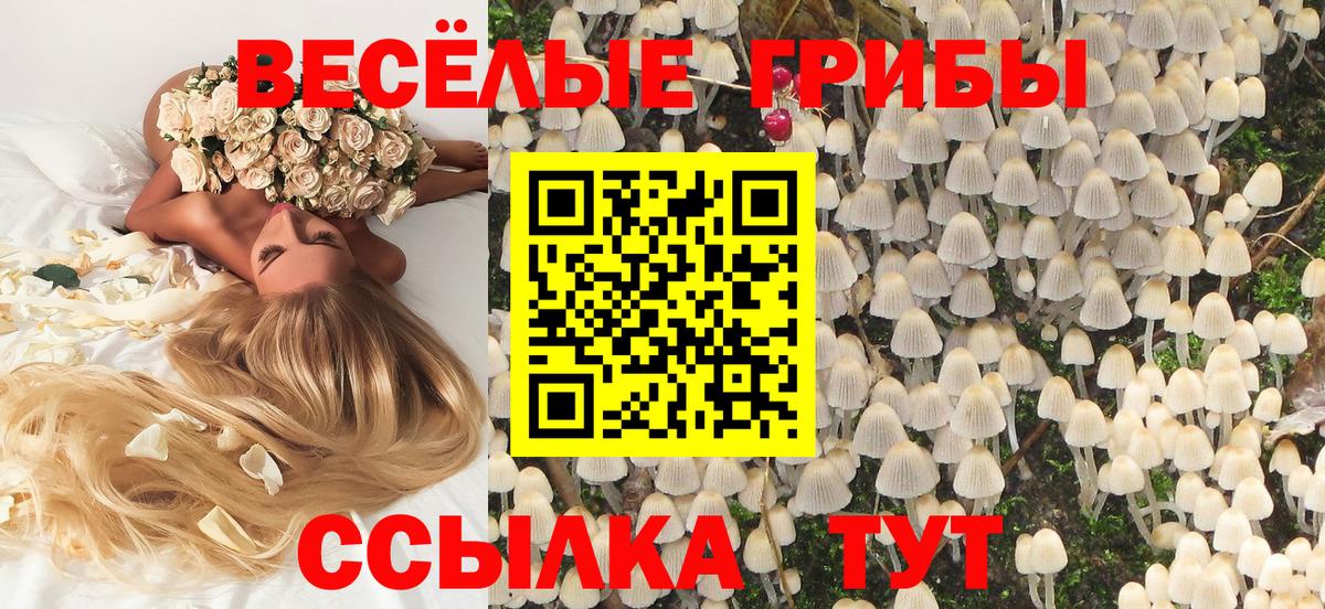 Галлюциногенные грибы Psilocybine cubensis Заволжье