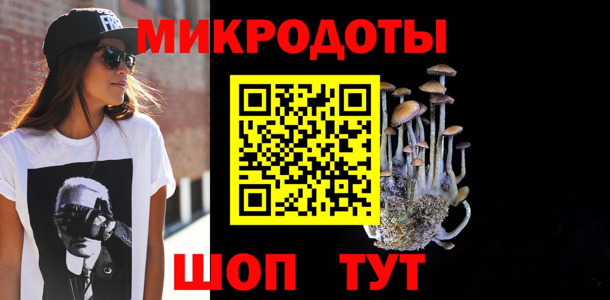 Псилоцибиновые грибы Psilocybe  Псилоцибиновые грибы ЛСД  Заволжье  цены наркотик  Вход с VPN 