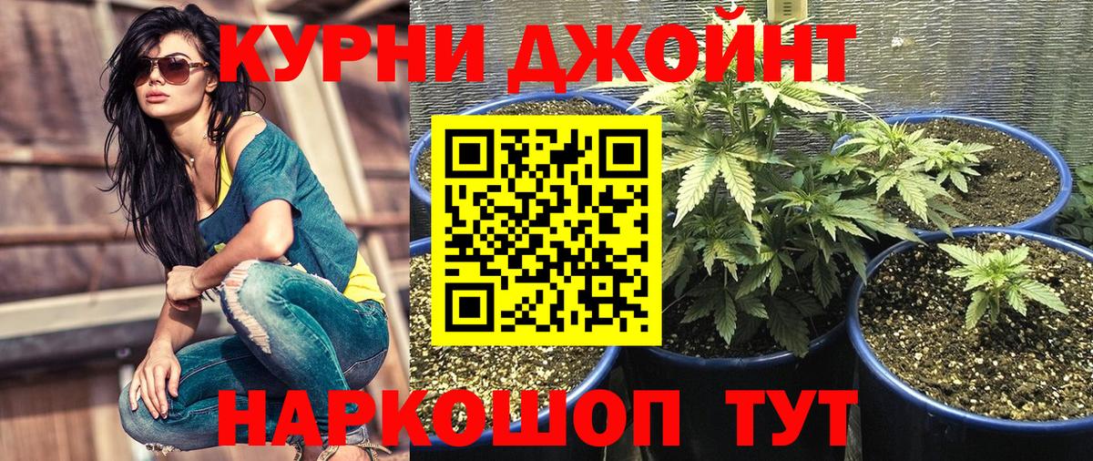 Марихуана VHQ  Марихуана тримм  Заволжье  Бошки Шишки VHQ  Вход с VPN  Бошки марихуана MAZAR 
